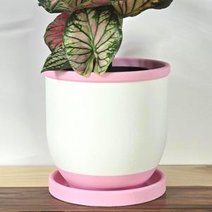 Indoor Planter with Drip Tray - Pink Flowerpot for Home Decor. Minimalist self-watering planter. Simple planter succulent pot for office