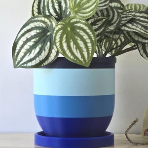 Indoor Planter with Drip Tray - Trendy Inspired Modern Indoor Flowerpot for Home Decor. Minimalist self-watering planter. Succulent planter