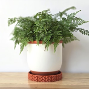 Jardinière avec ramasse-gouttes - Pot de fleurs d&#39;intérieur classique pour la décoration intérieure. Jardinière minimaliste à arrosage automatique. Jardinière succulente. Cache-pot d&#39;intérieur