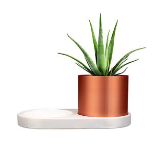 Planter with Base Drip Tray - Modern Indoor Flowerpot for Home Decor and Trinket Dish. Succulent planter. Self watering herb planter
