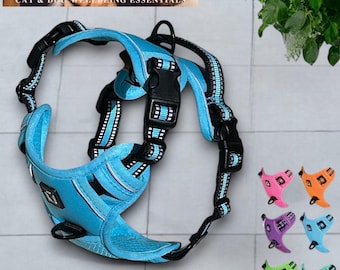May include: A light blue adjustable dog harness with black and white trim. The harness has a D-ring for leash attachment and a buckle closure. The harness is shown against a white tiled background.  The image also shows the harness in other colors: pink, orange, purple, green, and blue.