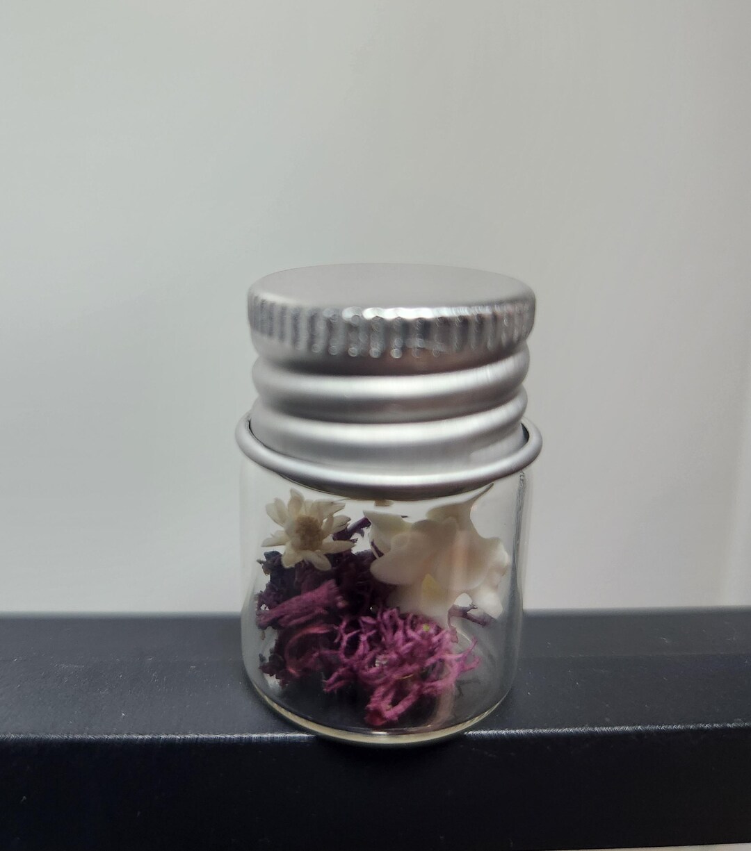 Real Ball Python Vertebrae in Tiny Glass Jar - Etsy