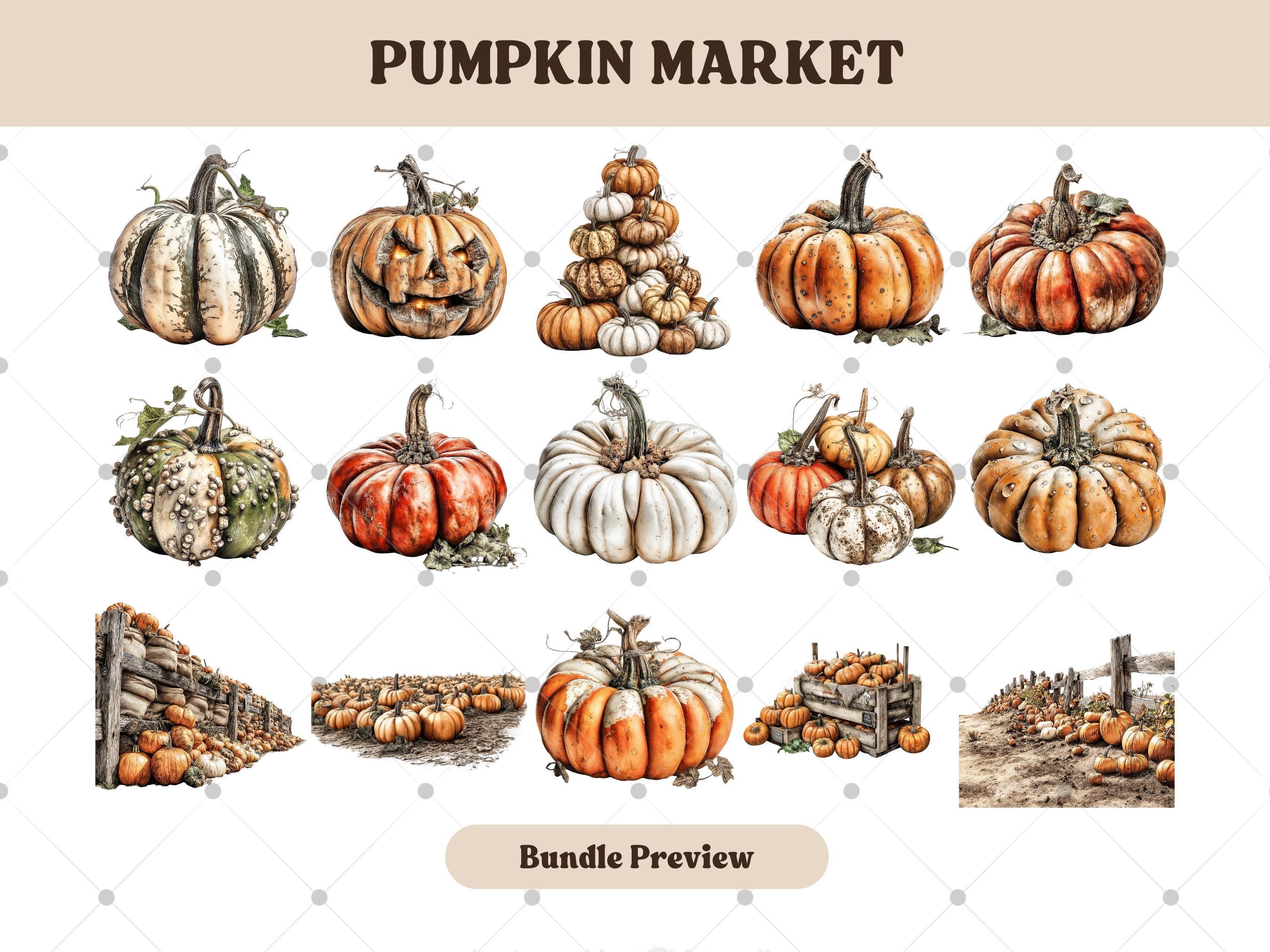 Watercolor Pumpkin Market Clipart Bundle: Fall Harvest PNG (105 ...