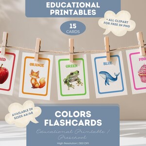 Farbe Karteikarten für Kinder Druckbare PDF Vorschule Lernen A6 A8 Pastell Lernkarten Kleinkind Klassenzimmer Dekor Wandkunst