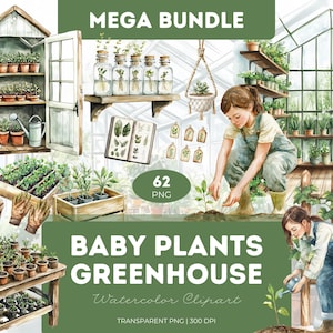 Pflanzen Gewächshaus Clipart Bundle Aquarell Stil PNG niedlich Pflanze Babys Gartentöpfe Kräuter Sukkulenten Digitaler Download Gewächshaus Dekor