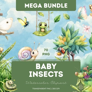 Baby Insekten Clipart Bundle Aquarell PNG niedlich Bugs Schmetterling Biene Marienkäfer Wurm Libelle Schnecke Kindergarten Garten Frühling Natur