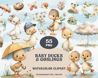 Baby Ducks Goslings Watercolor Clipart | Spring Animals PNG (55 Elements)