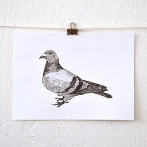 urban pigeon unique hand-pressed thermal transfer print derived from original drawing, minimal modern art for city living image 2