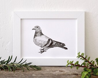 urban pigeon - unique hand-pressed thermal transfer print derived from original drawing, minimal modern art for city living