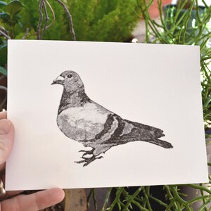 urban pigeon unique hand-pressed thermal transfer print derived from original drawing, minimal modern art for city living image 4