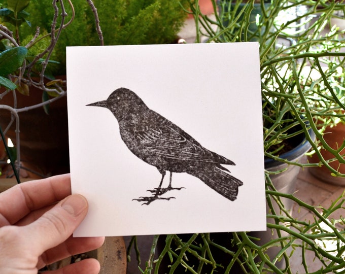 the starling - modern minimal blackbird print - hand-pressed thermal transfer print of my original drawing