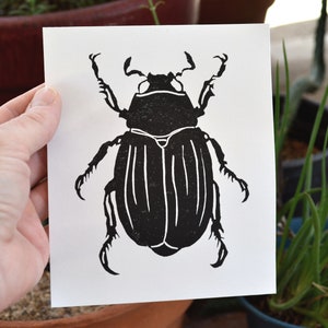 modern minimal insect beetle bug art: scarab, hand-pressed linocut print on fine art paper image 3