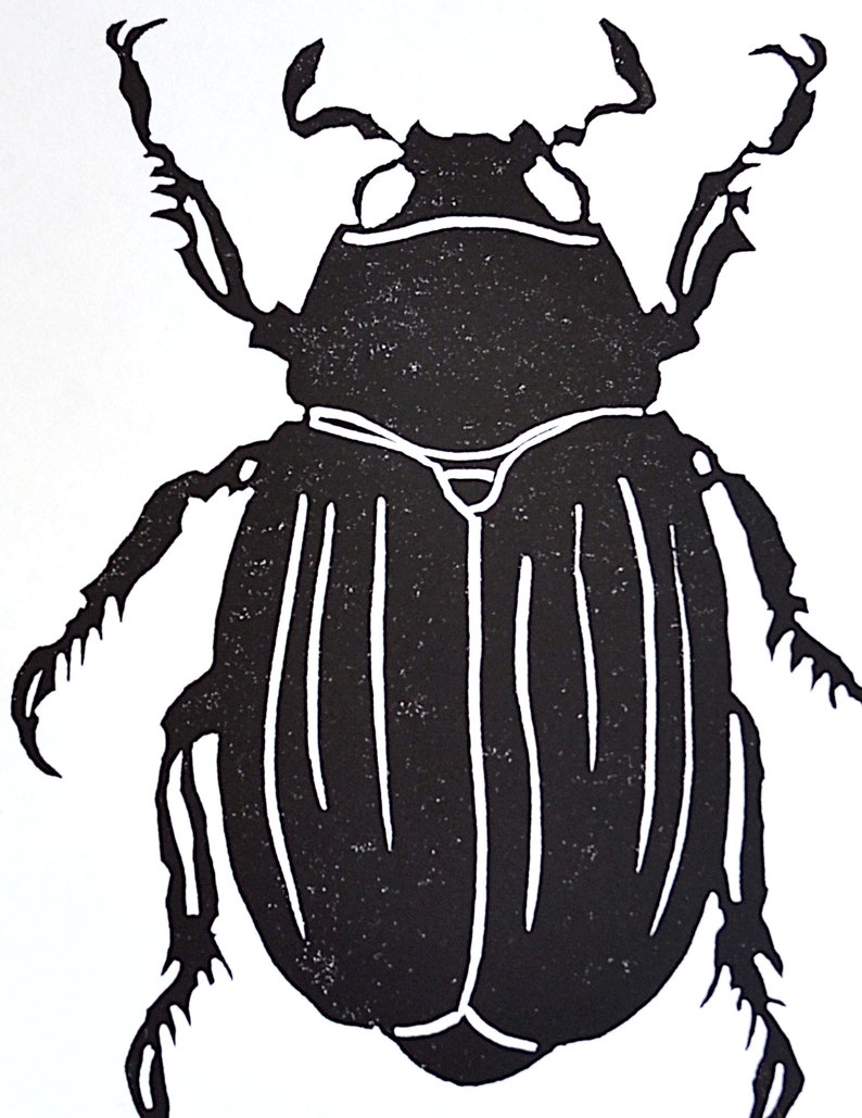 modern minimal insect beetle bug art: scarab, hand-pressed linocut print on fine art paper image 2