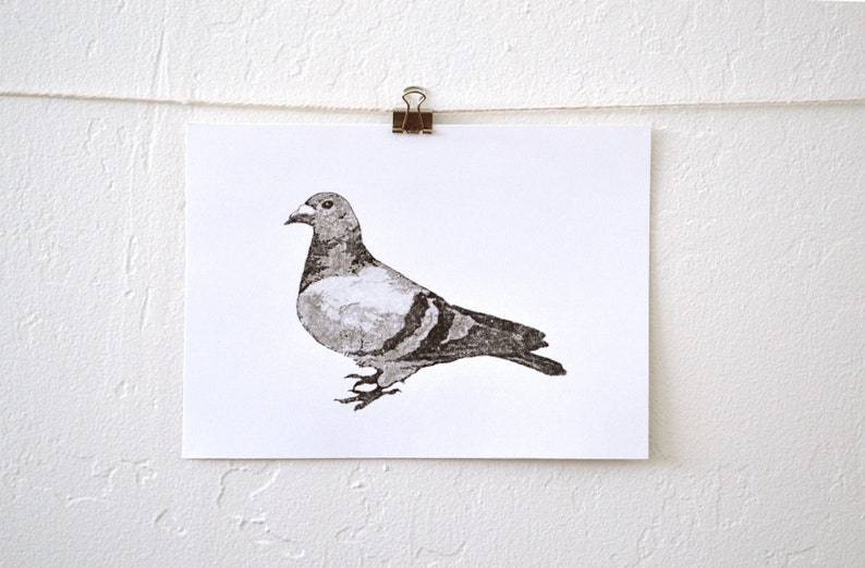 urban pigeon unique hand-pressed thermal transfer print derived from original drawing, minimal modern art for city living image 2