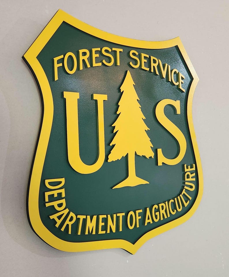 US Forest Service Ranger Wood Sign – Hand Painted Rustic Cabin Wall Art ...