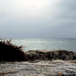 Seagull Cove in Rye, NH 8x10 inch photo.