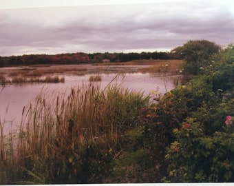 Fall Rye Marsh on a Cloudy Day