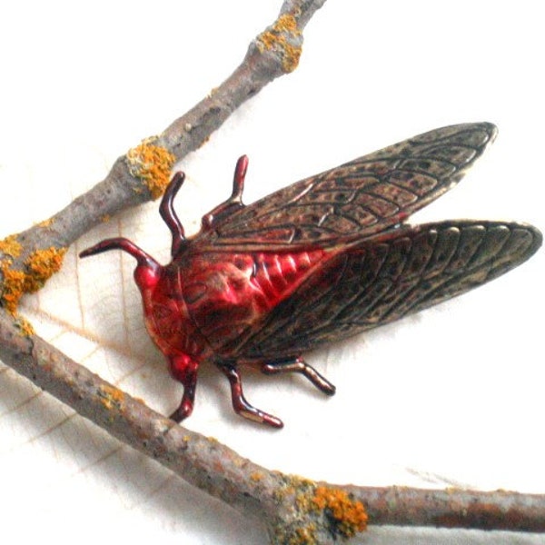 Cicada Red Resin Brass Brooch Pin