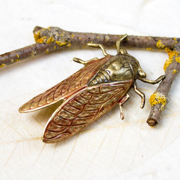 Cinnamon Brown Brass Cicada Brooch Pin -Feng Shui Good Luck Locust Insect - Large Pendant 50mm 2 inches detailed entomology bug geek geekery