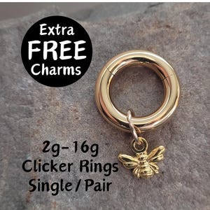 Gold Bee Clicker Ring Hoop Gauges Big 2g 4g 6g 8g 10g 12g 14g 16g Ohrringe Piercing Ohrstecker kleine Frauen niedliches zierliches Geschenk