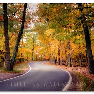 May include: A curved road through a forest in autumn. The trees have vibrant yellow, orange, and green leaves. The asphalt road winds through the scene, with the text "TIMELESS WALLSCAPES" at the bottom.