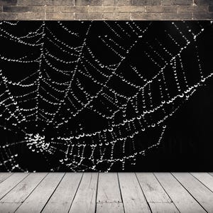 Black and White Spiderweb Wall Art | Dew Drop Macro Photography | Nature Minimalist Print
