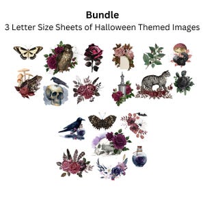 Bundle de papier de riz pour découpage avec 19 cliparts chat corbeau d'Halloween #253, papier de riz pour dessous de verre, boîte à bibelots, meubles, journal de scrapbooking