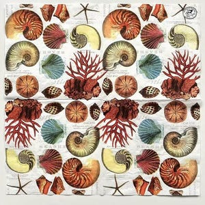 Servilleta con estampado de conchas marinas y corales para decoupage, servilleta con conchas marinas para joyeros, velas y muebles DIY, papel para diario de recortes
