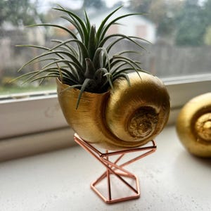 May include: A gold seashell planter with a small air plant growing inside. The planter is on a geometric copper stand.
