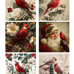 May include: A collection of six images featuring vibrant red cardinal birds. The images showcase the birds in various settings, including floral arrangements, snowy branches, and alongside Santa Claus. The overall theme is festive and nature-inspired.