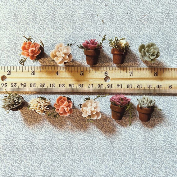 succulent plush Lil' Pop Succulent®