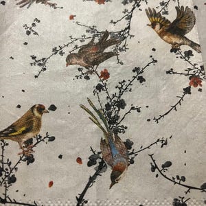 Servilletas de papel con temática de pájaros para la fiesta del té de la novia, servilletas para decoupage, posavasos y cajas de baratijas, velas DIY, arte con conchas, papel para envolver regalos