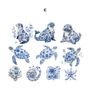 May include: Watercolor illustrations of marine animals and sea creatures in blue and white. The image includes seals, turtles, a seashell, a nautilus shell, and a starfish. The letter "C" is at the top of the image.