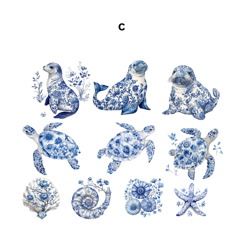 May include: Watercolor illustrations of marine animals and sea creatures in blue and white. The image includes seals, turtles, a seashell, a nautilus shell, and a starfish. The letter "C" is at the top of the image.