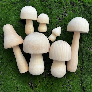 7 champignons en bois, champignons en bois brut pour travaux manuels, décoration à faire soi-même, jouets sensoriels en bois Montessori Waldorf, jardin féerique, ensemble de champignons vénéneux