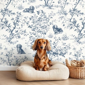 May include: A brown and tan dachshund sits on a beige dog bed in front of a wall with a blue and white toile pattern. A wicker basket with dog toys sits to the right. The wallpaper features illustrations of dogs and floral elements.