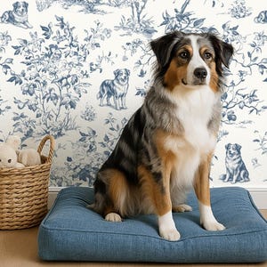 May include: An Australian Shepherd dog sits on a blue denim dog bed. The dog has a tri-color coat of black, brown, and white. A woven basket with stuffed toys sits to the left. The background is a blue and white toile pattern.