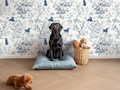 Custom Color Dog Wallpaper, Black Labrador Toile de Jouy, Whimsical Vintage Botanical Decor, Peel & Stick, Removable, Pre-Pasted, Vinyl product logo