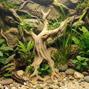 Vecchio albero morto con grotta e decorazioni naturali