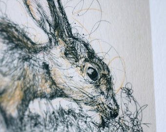 Spring Hare Pen and Ink Illustration Print Limited Edition
