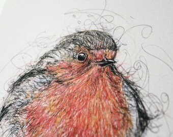 10 x 8 Robin Pen and Ink Illustration Print Limited Edition