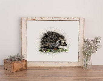 Hedgehog A3 Pen and Ink Illustration Print Limited Edition