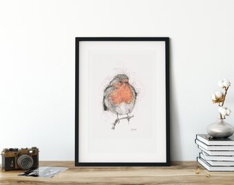 A3 Robin Pen and Ink Illustration Print Limited Edition