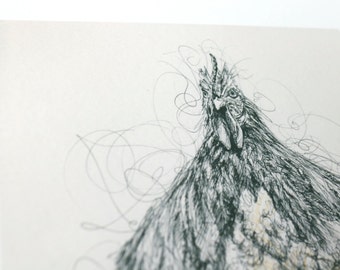 Cockerel Pen and Ink Illustration Print Limited Edition 10 x 8inch