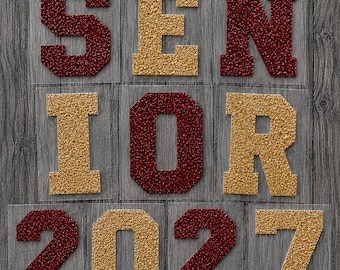 Senior Year Iron On Decals,  Custom Senior Jeans, Iron on Personalized Senior Jean or Senior Corset Decals, Senior Patch, Class of 2027