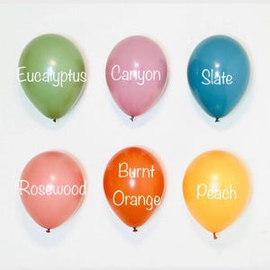 Boho Rainbow Muted Rainbow Balloon Retro Party Animal Balloon Boho Balloon Muted Primary Balloon Multi Colored Balloon Colorful Balloon