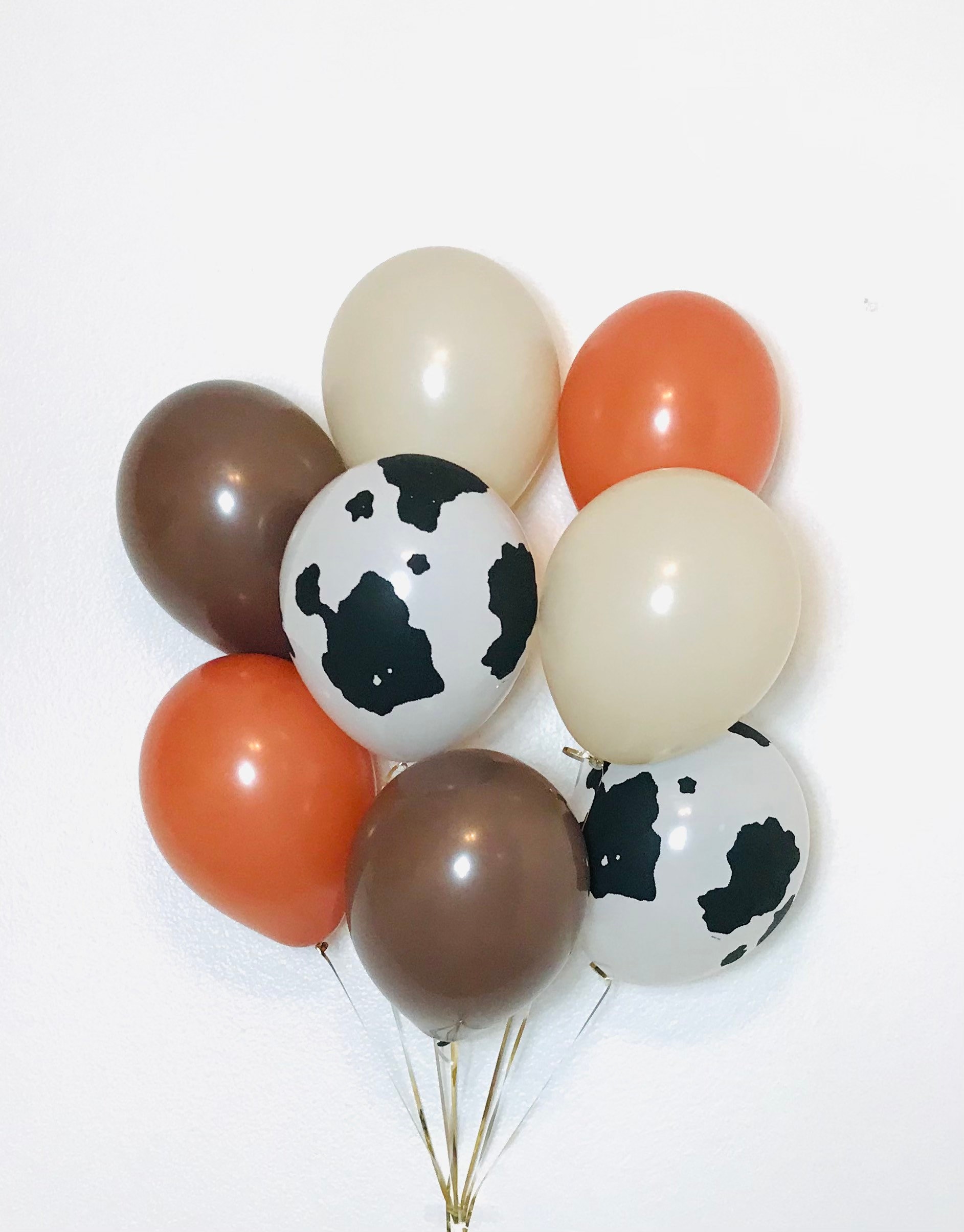 Cowboy Balloons Wild West Birthday Western Birthday First Rodeo Southwestern Birthday Cowboy First Birthday Western Party