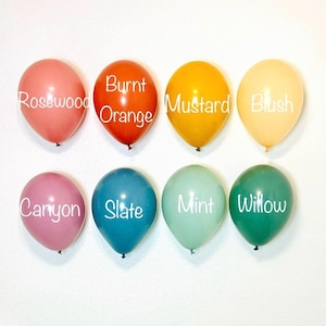 Boho Rainbow Latex Balloons Party Animal Balloons Boho Rainbow Muted Rainbow Mustard Burnt Orange  Boho Party Modern Rainbow Animal Parade