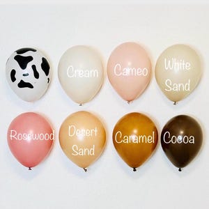 Cowgirl Balloon Garland Pink Cowgirl Party Muted Cowgirl Moo im Two First Rodeo Last Rodeo Lets Go Girls Cowgirl Garland Nashville Bach