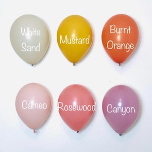 Two Groovy Balloons Two Groovy, Groovy party, Hippie Birthday, Groovy Birthday, Retro Boho Balloons, Boho Balloons, Groovy Baby